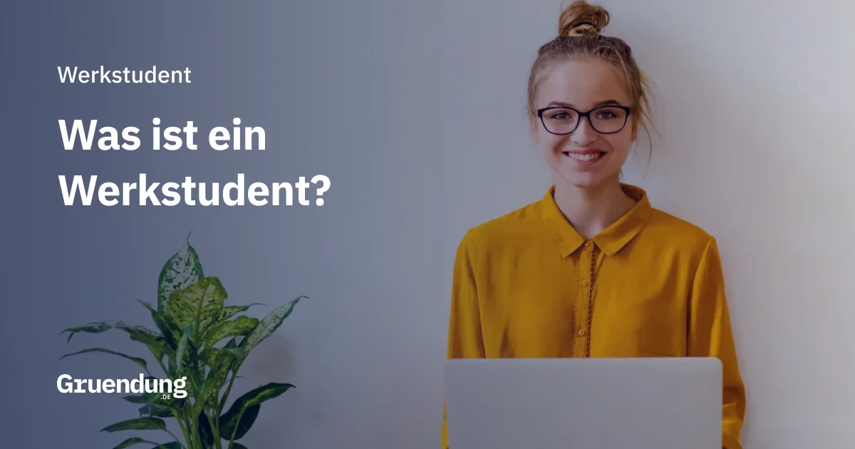 Werkstudent, Definition, Rechte, Privilegien